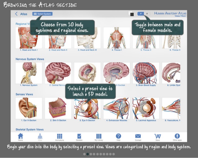 visible body human anatomy atlas serial number