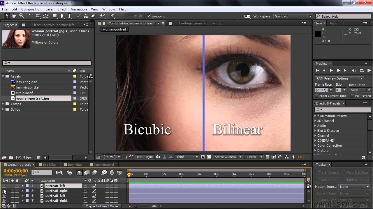 adobe after effects cc 2015.3 download